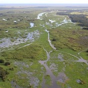 The restoration's goal is to put as much of the Kissimmee as possible back to the way it was. This photo shows the river after restoration.