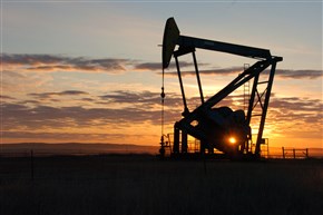  A Whiting Petroleum Co. pump jack pulls crude oil from the Bakken region of the Northern Plains near Bainville, Mont. on Nov. 6, 2013.