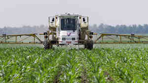 Corn farmer Jerry McCulley sprays the weedkiller glyphosate across his cornfield in Auburn, Ill., in 2010. An increasing number of weeds have now evolved resistance to the chemical.
