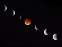 In this composite photograph the moon during various phases at the begining, middle and end of a total lunar eclipse April 15, 2014 as seen from Magdalena, New Mexico.  While all of the event is visible from North and South America, sky watchers in northern and and eastern Europe, eastern Africa, the Middle East and Central Asia will be out of luck, according to NASA. AFP PHOTO/Stan HONDA/Getty Images