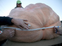 [ READ MORE: Napa Man’s 2,058 Pound Pumpkin Shatters North American Record During Half Moon Bay Weigh-Off ]