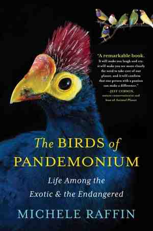 The Birds of Pandemonium