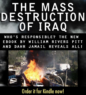 The Mass Destruction of Iraq