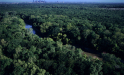 A photo of the Great Trinity Forest in Dallas. (credit: Groundwork Dallas)