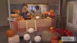 Lifestyle expert Kristen Hilyard taught us how you can harvest your creativity by turning your place into a pumpkin paradise.