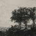 Rembrandt’s 1643 ‘‘Three Trees’’ etching.