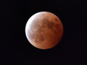 A lunar eclipse is seen in Tokyo on October 8, 2014. (credit: YOSHIKAZU TSUNO/AFP/Getty Images)