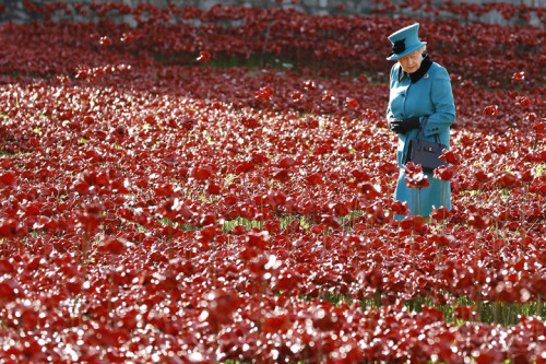 Britain's Queen Elizabeth II walks through a field of ceramic poppies at The Tower of London, Thursday, Oct. 16, 2014. The poppies are part of a ceramic poppy installation called 'Blood Swept Lands and Seas of Red' which marks the centenary of the outbreak of the First World War. (AP)