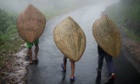 Labourers wearing traditional 'knup' umbrellas walk into Mawsynram Mawsynram, which is the wettest place in the world, Meghalaya, India