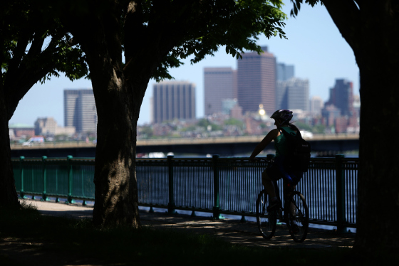 Cyclist Rides Along Charles River In Summer