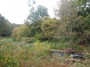 Valley Creek is a prized trout stream that feeds into the Schuylkill River and runs through Valley Forge National Historical Park.