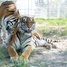 Teresa Gubbins: Rescued tigers get new lease on life at premier big cat sanctuary in North Texas