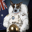 First Dog on the Moon