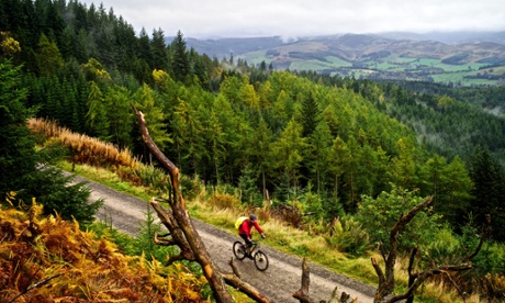 Mountain bikers enjoy the Blue and Red mixed route at 7Stanes Glentress.