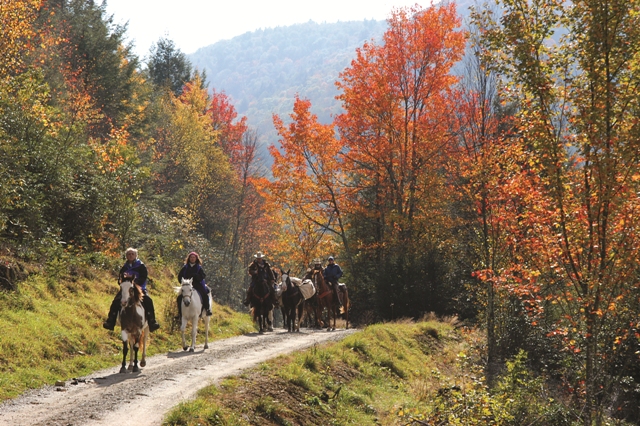 Mount Rogers National Recreation Area