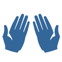 Hands Icon