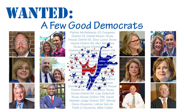 Wanted: A Few Good Democrats