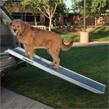 Top Paw Deluxe Telescoping Pet Ramp