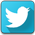 Twitter Footer Logo