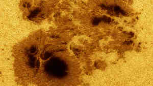 Image of sunspot AR 2192