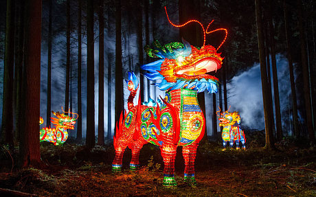 The largest Chinese 'Festival of Light' seen in Europe is taking shape in the grounds of Longleat House in Wiltshire. A small army of over 50 skillled workers have flown in from the remote village of Zigong in central China to create the stunning spectacle.