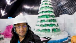 FOR FUTURE STAR STORY BY SYD. DO NOT PUBLISH IN PRINT OR ONLINE UNTIL THEN. JCK
Ice sculptor Qiu GuangHui walks past an icy Christmas tree while working on the construction of Ice Land: Ice Sculptures with SpongeBob SquarePants at Moody Gardens on Thursday, Oct. 16, 2014, in Galveston. The icy display, using 900 tons of ice built by Chinese ice sculptors led by Qiu GuangHui, opens November 15. It is touted as the only holiday ice exhibition on the Gulf Coast. ( Brett Coomer / Houston Chronicle )FOR FUTURE STAR STORY BY SYD. DO NOT PUBLISH IN PRINT OR ONLINE UNTIL THEN. JCK
Ice sculptor Qiu GuangHui walks past an icy Christmas tree while working on the construction of Ice Land: Ice Sculptures with SpongeBob SquarePants at Moody Gardens on Thursday, Oct. 16, 2014, in Galveston. The icy display, using 900 tons of ice built by Chinese ice sculptors led by Qiu GuangHui, opens November 15. It is touted as the only holiday ice exhibition on the Gulf Coast. ( Brett Coomer / Houston Chronicle )