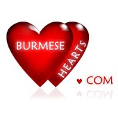 BurmeseHearts