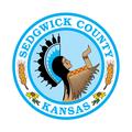 Network glitch slows advanced voting at two Sedgwick County sites