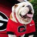 UGA is No. 11 on first College Football Playoff ranking (TOP 25 LIST)