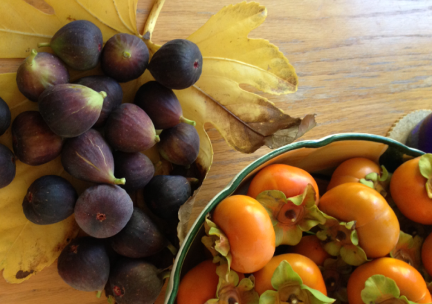 Go beyond the apple this fall: try cooking with figs, persimmons and pears. (Kathy Gunst/Here &  Now)