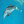 Winter the Dolphin, star of Disney's Dolphin Tale
