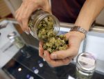 Marijuana is poured from a jar at at medical marijuana dispensary. (David McNew/Getty Images)