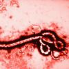 Common questions employers are asking about ebola