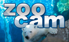 Zoo Cam