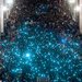 Thousands of demonstrators held mobile phones as they crossed the Danube on Tuesday in Budapest to protest a proposed tax on Internet use.