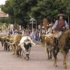 Chesapeake Energy sells more land in Fort Worth's Historic Stockyards