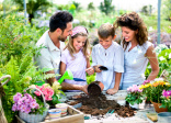 Mother's Day Activities - Planting Flowers