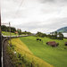 The Venice Simplon-Orient-Express moving through the Swiss countryside.