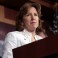 Dems need ground game to save Hagan