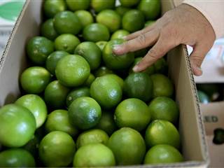 Price of Limes on the Rise