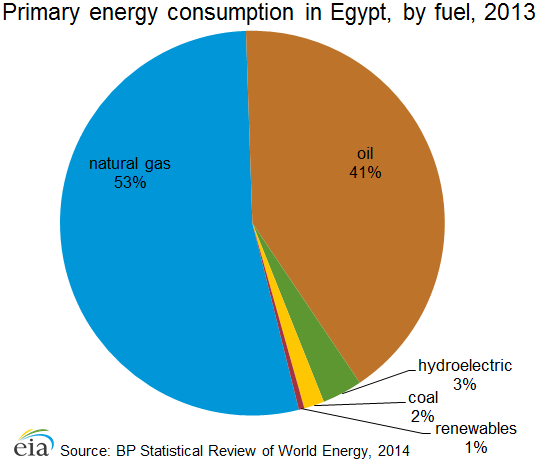 Primary energy consumption in Egypt, by fuel, 2013