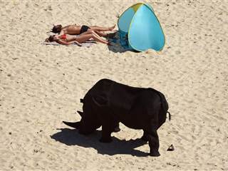 Giant Sculptures Greet Sydney's Beachgoers