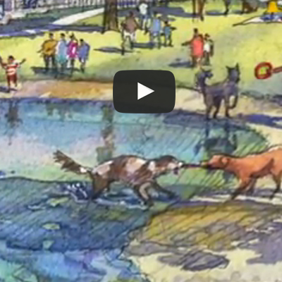 VIDEO: Bayou Dog Park Construction Continues