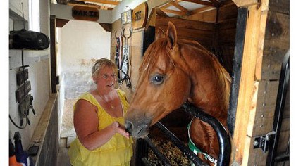 Beth Voyles of Washington, Pa., Beth Voyles of Washington, Pa., pets one of her horses, G.R. Shakin the Piggybank, at her McAdams Road home on Thursday.