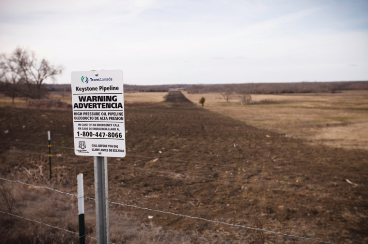 Bare soil above the buried Keystone XL pipeline where it crosses the Collinses’ cattle pasture.