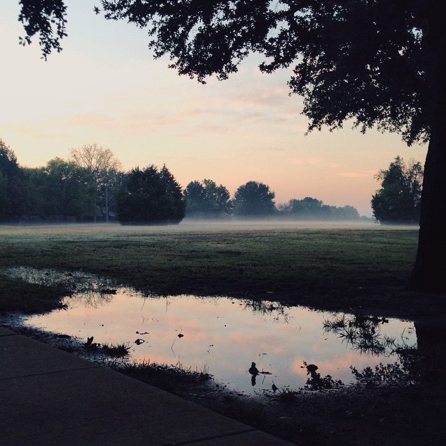 Fog and reflections by @ThePaigels. 