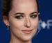 Dakota Johnson's 'Chloe and Theo' focuses on the impact of climate change on the Arctic