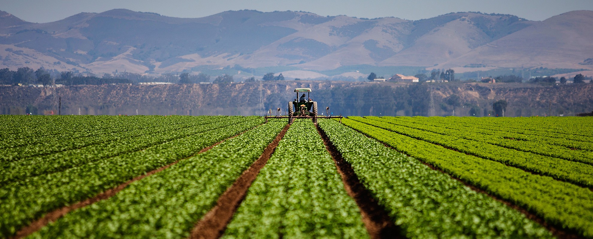A tractor works a farm field in Southern California.