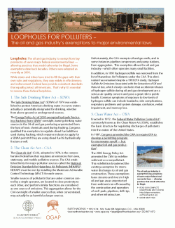 Loopholes for Polluters