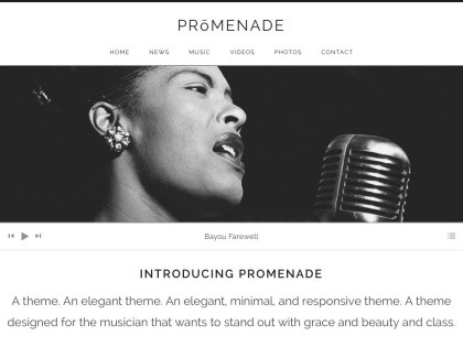 Promenade WordPress Theme